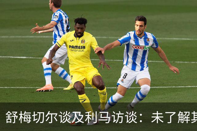 舒梅切尔谈及利马访谈：未了解其对管理层的批评导致误解